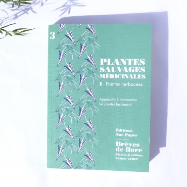 Livre Plantes herbacées médicinales